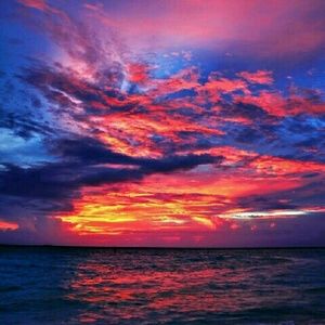 Meet your Posher, Makayla