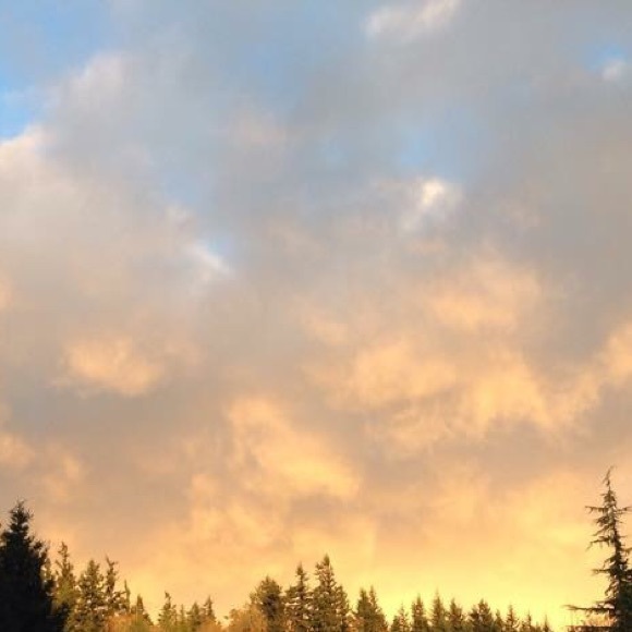 Meet your Posher, Christine - Picture 1 of 1