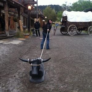 Meet your Posher, Dani