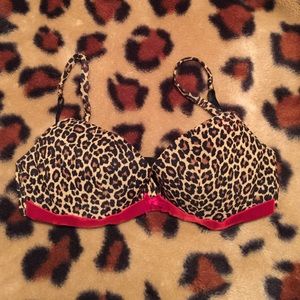 Animal Print with Red Velvet Bra