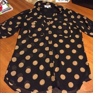 Portofino button up black tan polka dot express