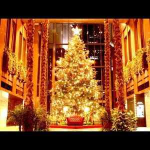 Christmas is coming!!!