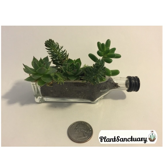 Small Succulent Planter
