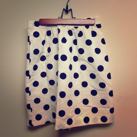 J.Crew skirt