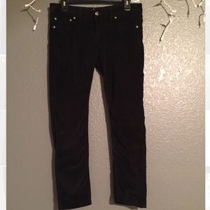 FREE PEOPLE VERY DARK NAVY VELVET PANTS