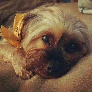 Meet your Posher, Brandy