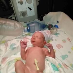 Meet your Posher, Forrestanderika