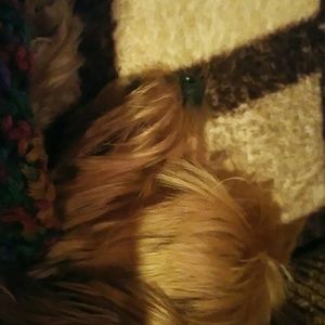 Meet your Posher, Amber