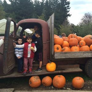 Meet your Posher, Lina