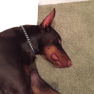 Meet your Posher, Sandi