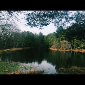 Meet your Posher, Sally