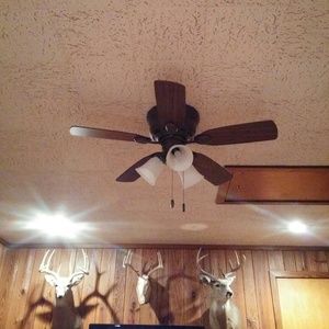 Meet your Posher, Val