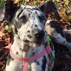 Meet your Posher, Marla