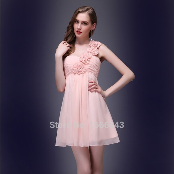 Blush Pink Chiffon Dress