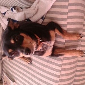 Meet your Posher, Lanee