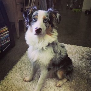 Meet your Posher, Michele