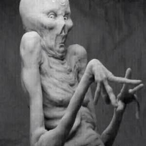 Meet your Posher, Tom