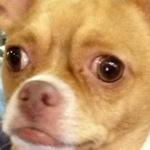 Meet your Posher, Mindy