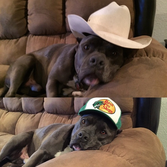 Meet the Posher!!! - Picture 4 of 4