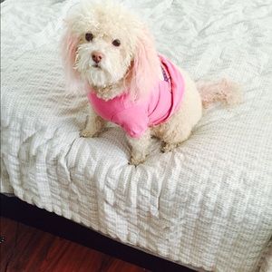 Meet your Posher, Ana