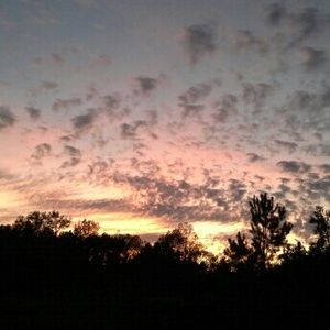 Meet your Posher, Hope