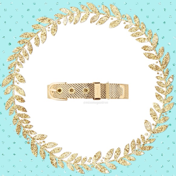 NWB Keep Collective Gold Mesh Bracelet Keeper
