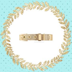 NWB Keep Collective Gold Mesh Bracelet Keeper