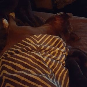 Meet your Posher, Carrie