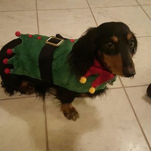 Meet your Posher, Desi