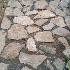 Meet your Posher, Deb