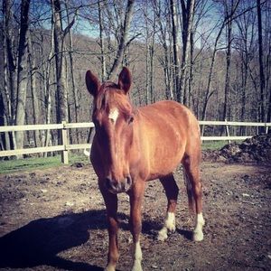 Meet your Posher, Jen