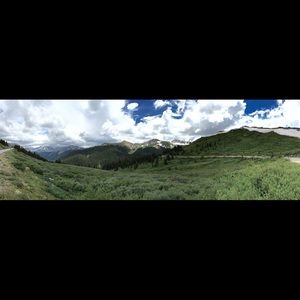 Meet your Posher, Wynne