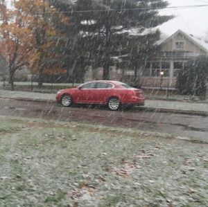 Meet your Posher, Thomas