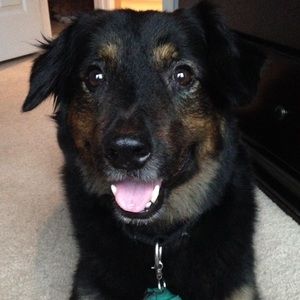 Meet your Posher, Kara