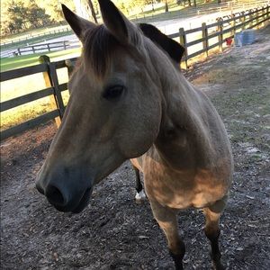 Meet your Posher, Lucy