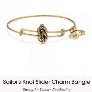 NEW! Alex & Ani Bangle NWT