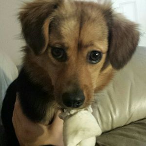 Meet your Posher, Hillarie