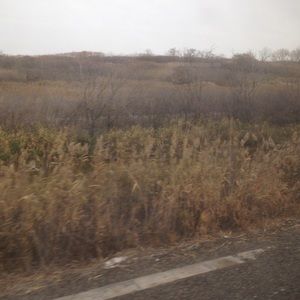 Meet your Posher, Ali