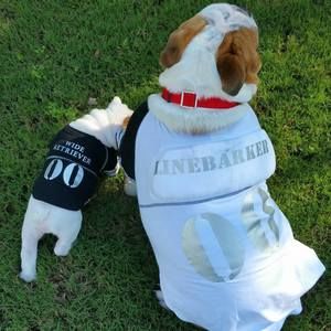 Meet your Posher, Tina