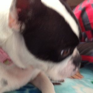 Meet your Posher, Melanie