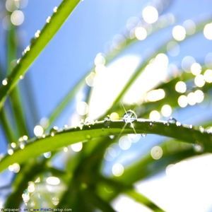 Meet your Posher, Giang