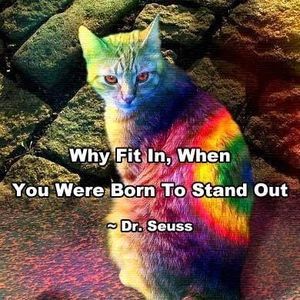 Meet your Posher, Cat