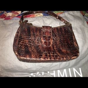 Brahmin sholder