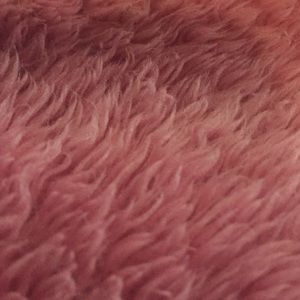 Meet your Posher, Madeline