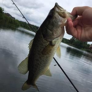 Meet your Posher, Austin