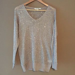 Long Sleeved Shimmer Knit