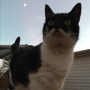 Meet your Posher, Tori