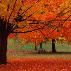 Meet your Posher, Jeff