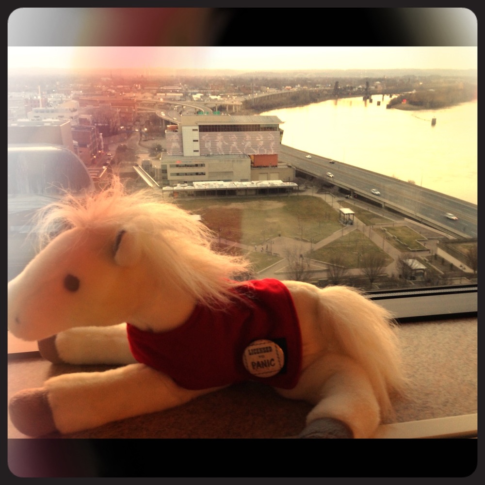 Meet your Posher, Krista