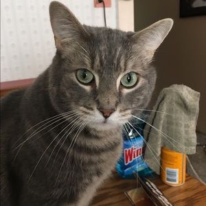 Meet your Posher, Lisa